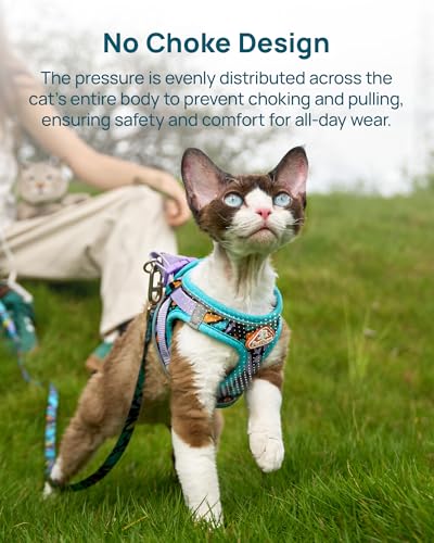 Upgraded Cat Harness and Leash Set (Blue Butterfly Magic / S)