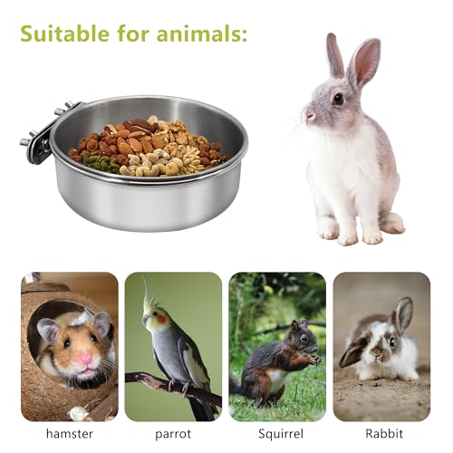 Large Bird Feeding Dish Cups with Clamp Holder (Large / 1 Pack)
