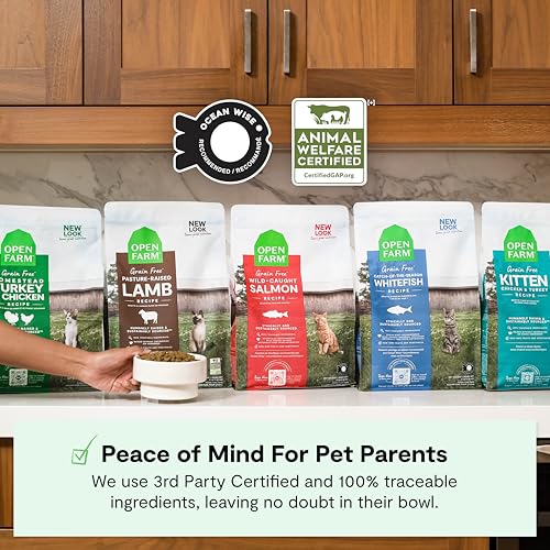 Grain Free Dry Kitten Food (4 Pound (Pack of 1))