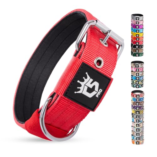 Heavy Duty Thick Dog Collar with Metal Buckle for Large Dogs (L – Fits Neck 18.9"-21.7" / Basic Red)