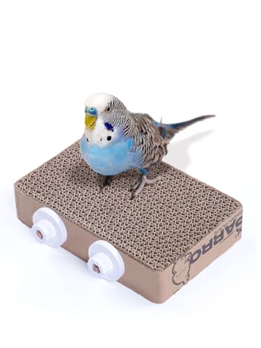 7.3 Inch Paper Bird Toys (M)