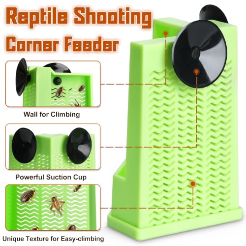 Reptile Corner Hunting Bowl (Right Angle Feeding Bowl / Small)