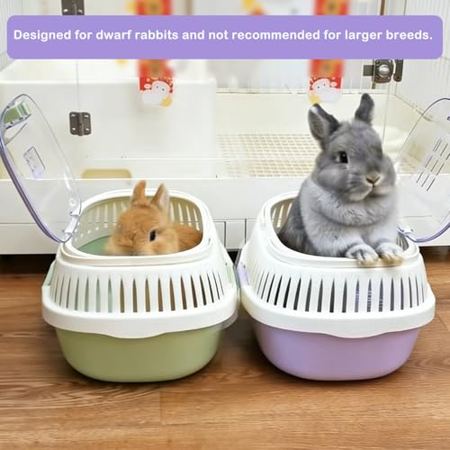 Hamster Carrier Portable Guinea Pig Carrier 13 X 11 X 8 in (Purple)