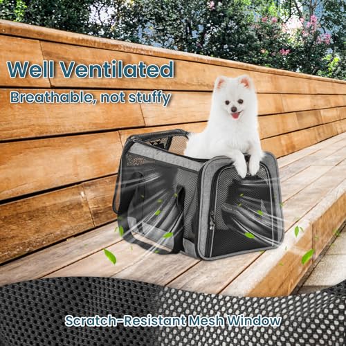 Large Cat Car Carrier (19.0"L x 12.0"W x 12.0"H / Z-Gray)