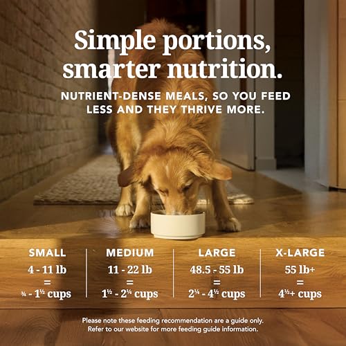 Freeze Dried High Protein Grain (3.5 Ounce (Pack of 1))