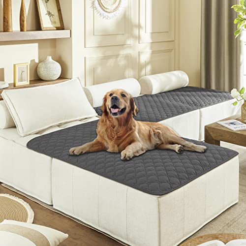 Waterproof Blanket for Dogs (40x50 Inch (Pack of 1) / Dark Grey)