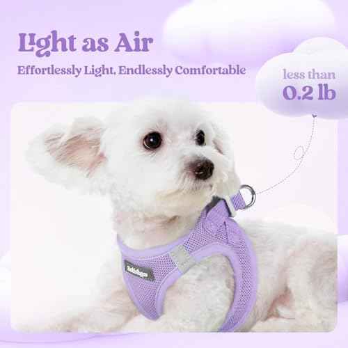Dog Harness Medium Sized and Leash Set (Light Purple / Xxl (chest: 21.6 - 23.7"))