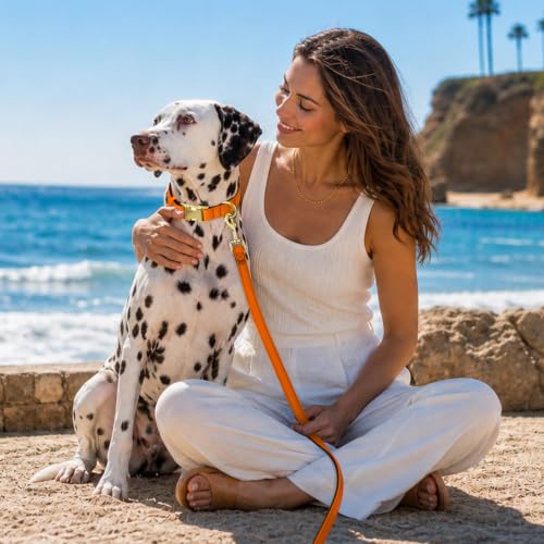 Soft Padded Dog Collar for Large Dogs (Orange / L：Fit 16-22" Neck, Width 1")