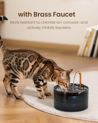 Cat Water Fountain with 9