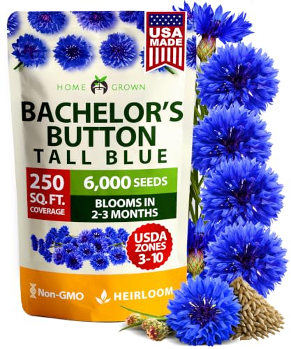 Bachelor Button Seeds