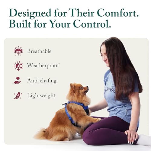 No Pull Dog Harness (Small / Blue)