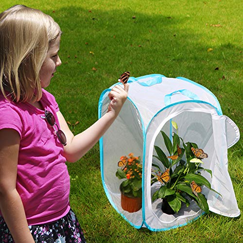 Insect and Butterfly Habitat Cage Pop (White With Blue / 15.7 x 15.7 x 23.6 inches)