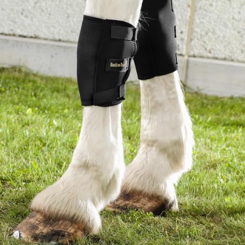 Knee Boots for Horses (Black / Large 16")