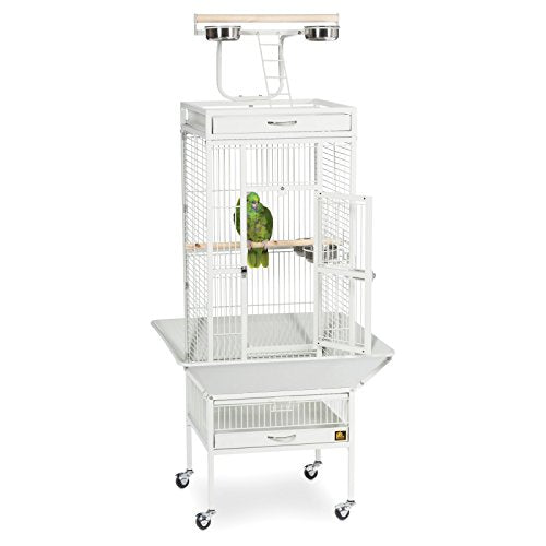Wrought Iron Select Bird Cage (Black Hammertone / 18.0"L x 18.0"W x 57.0"H)
