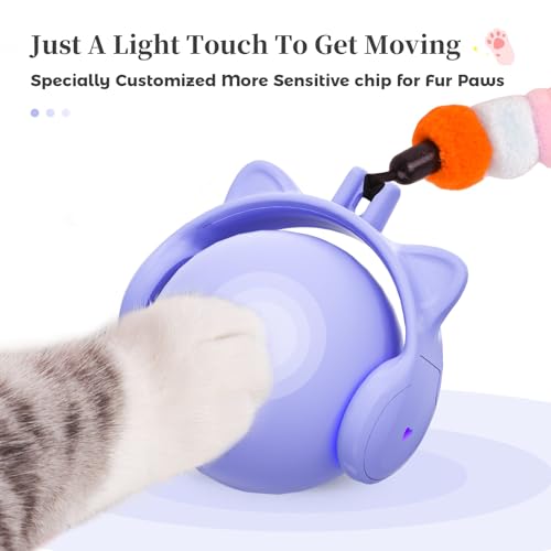 Cat Toys for Indoor Cats (Periwinkle)