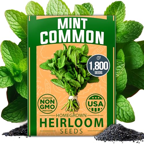 Common Mint Seeds
