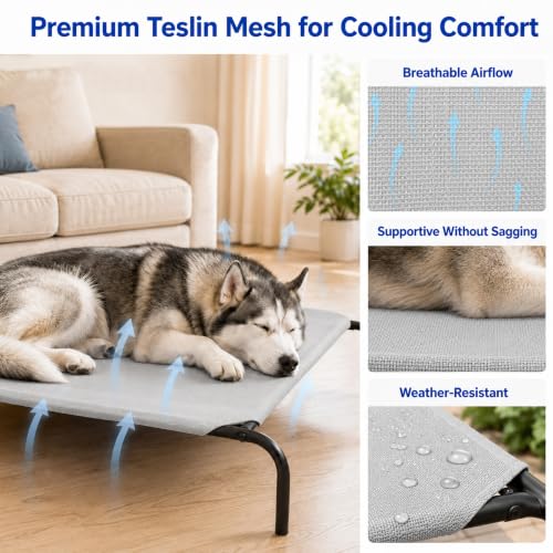 Elevated Dog Bed for Large Dogs (Large / Grey)