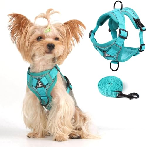 Cat Harness and Leash Set (Teal / S)