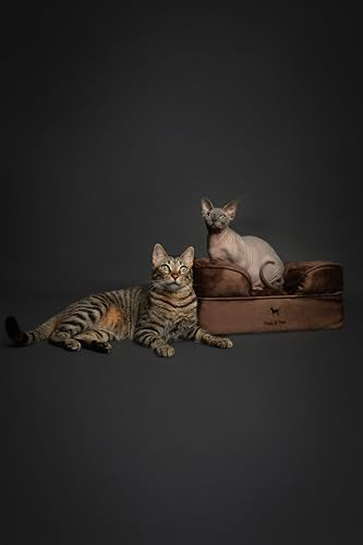 Cat Bed XS Dog Bed (Brown - VE / Small)
