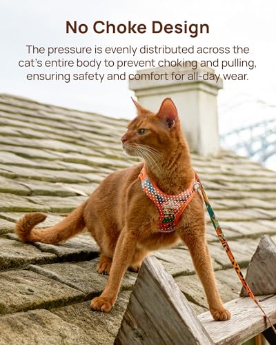 Upgraded Cat Harness and Leash Set (Orange King of The Jungle / XS)