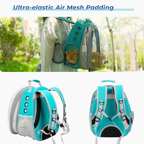 Expandable Bubble Cat Carrier Backpack (Front Expandable-Green)