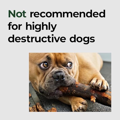 Oxford Dog Bed for Medium Dogs (30.0"L x 19.0"W x 3.0"Th)