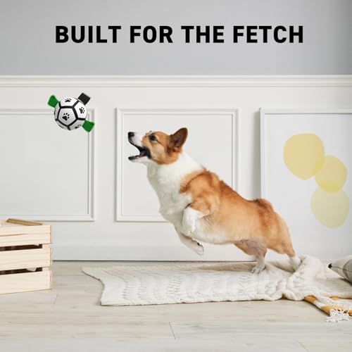 Small Dog Toys (Green-Black / Extra Small Size 0 (3.5 Inch))