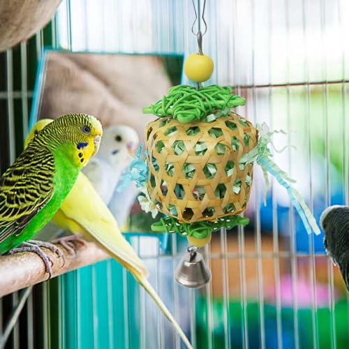 Bird Toys for Conures Parakeet (BellBall)