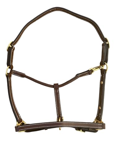 Leaders 3 4" Leather Horse Halter with Customized Name Plate (Horse)
