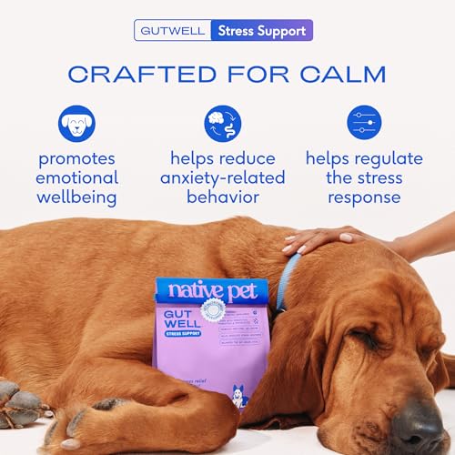 GutWell Stress Support (120 Count)