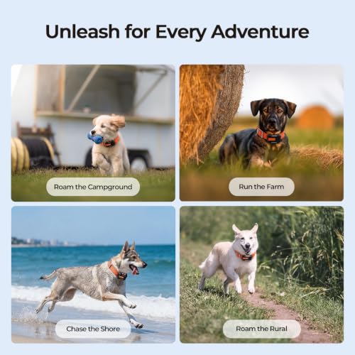 Dog GPS Tracker No Subscription