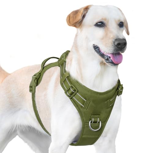 No Pull Dog Harness Front Clip Handle (Misty Green / M(Neck:18.5-25.6",Chest:20.9-30.7"))