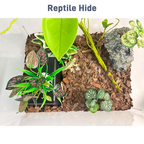 Small 2 Pcs Humid Hideout Cave for Reptiles (Black / Small (2 Count))