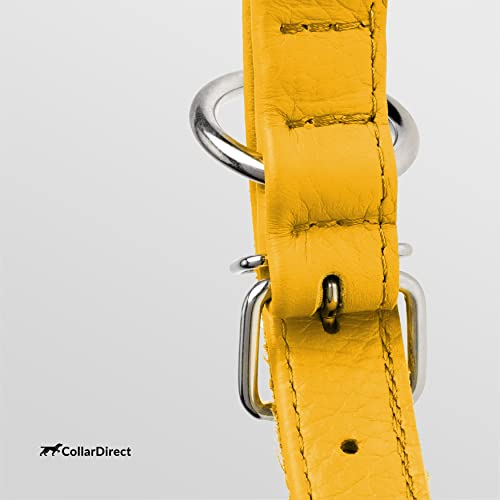 Tangle Free Rolled Leather Dog Collar (Yellow / XS)