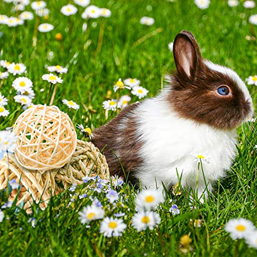 8 Pcs Small Animals Play Balls Rolling Activity Chew Toys Gnawing Treats for Rabbits Guinea Pigs Chinchilla Bunny Natural Balls (8 Pcs+ Pine cone)