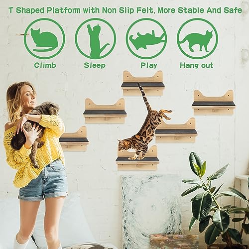 6 Set Cat Wall Shelves (Lovely)