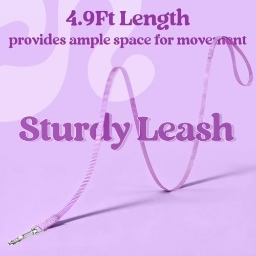 Cat Harness and Leash Set (L / Purple-Light Purple)