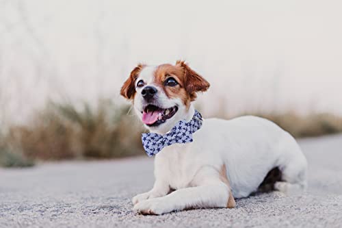 Dog Collar with Bowtie (Anchor / Large (Pack of 1))