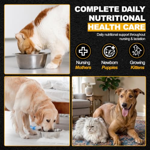 Nursing & Lactation Support for Dogs & Cats