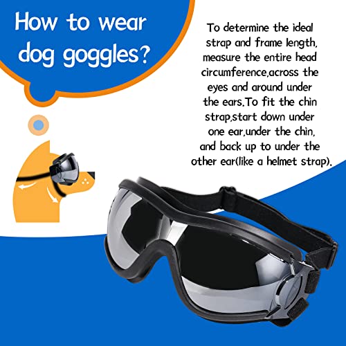Dog Sunglasses