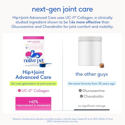 Hip & Joint Advanced Care Dog Joint Supplement Powder for Mobility & Movement Support (120 Count)