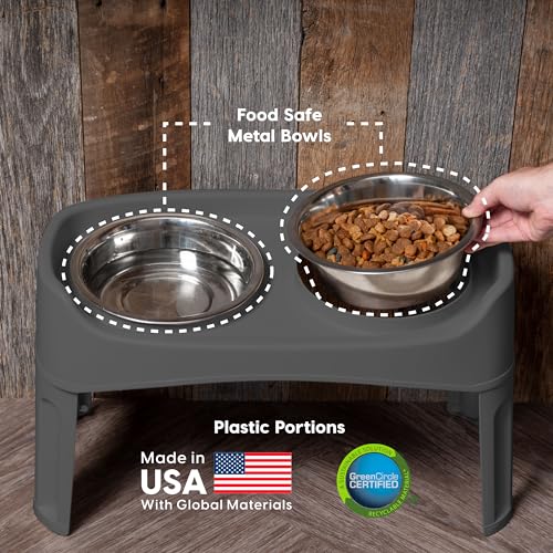 Elevated Dog Bowls (Gray)