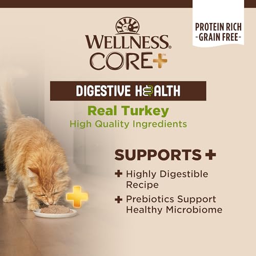 CORE+ Digestive Health Pate Adult Canned Wet Cat Food (3 Ounce (Pack of 12))