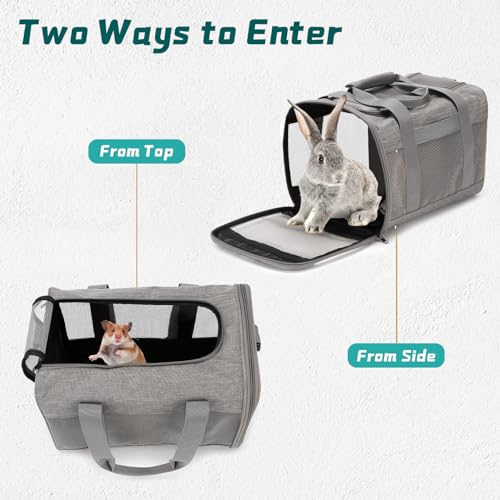 Small Pet Carrier (Gray)