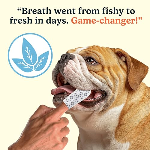 Dog Dental Wipes