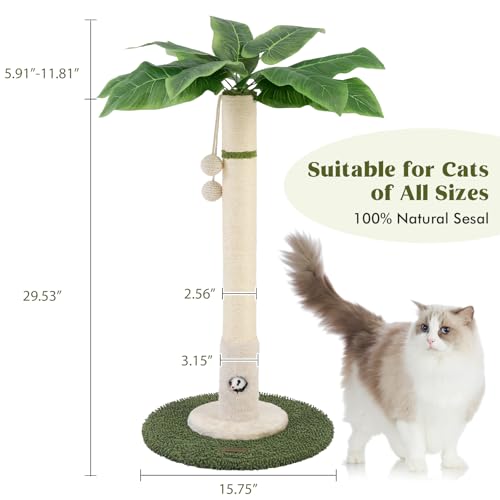 Cat Scratching Post for Indoor Cats (35.4-White / 35.4in)