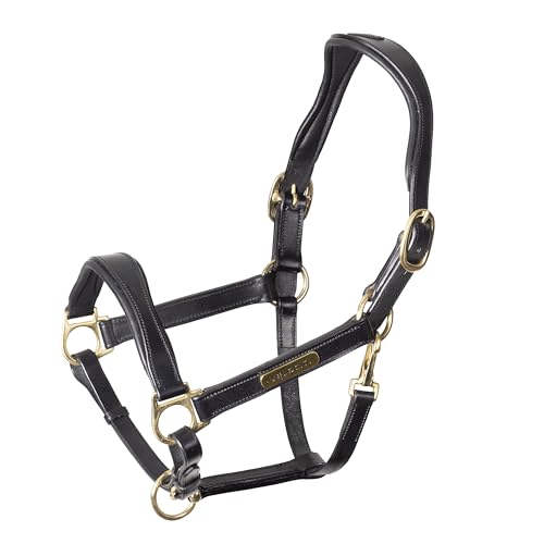 Velociti Rapida Padded Leather Halter (Cob / Black)