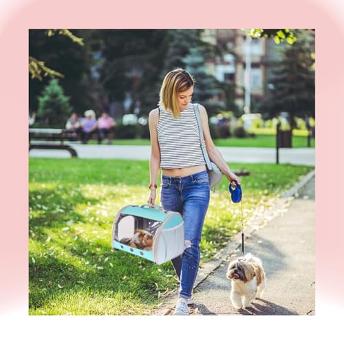 Bearded Dragon Travel Carrier Backpack (Green)