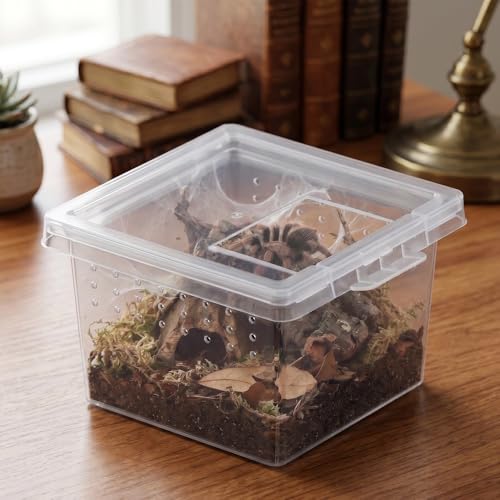 10 Pcs Insect Spider Terrariums Breeding Box Hatching Container Small Reptile Scorpion Centipede Acrylic Breeding Box
