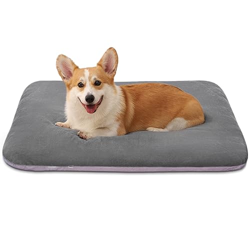 Super Soft Medium Dog Bed (32.0"L x 24.0"W x 3.0"Th / Grey)